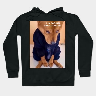 Sad dog Hoodie